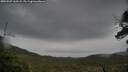 ./images/calvert/fitz-hugh-hecate/20250527/fitz-hugh-hecate20250527_162509M.jpg