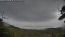 ./images/calvert/fitz-hugh-hecate/20250527/fitz-hugh-hecate20250527_163010M.jpg