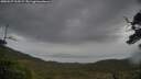 ./images/calvert/fitz-hugh-hecate/20250527/fitz-hugh-hecate20250527_163509M.jpg