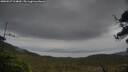 ./images/calvert/fitz-hugh-hecate/20250527/fitz-hugh-hecate20250527_164010M.jpg