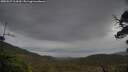 ./images/calvert/fitz-hugh-hecate/20250527/fitz-hugh-hecate20250527_164510M.jpg