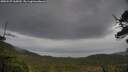 ./images/calvert/fitz-hugh-hecate/20250527/fitz-hugh-hecate20250527_165010M.jpg