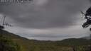./images/calvert/fitz-hugh-hecate/20250527/fitz-hugh-hecate20250527_165508M.jpg