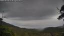 ./images/calvert/fitz-hugh-hecate/20250527/fitz-hugh-hecate20250527_173509M.jpg