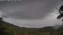 ./images/calvert/fitz-hugh-hecate/20250527/fitz-hugh-hecate20250527_174010M.jpg