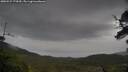 ./images/calvert/fitz-hugh-hecate/20250527/fitz-hugh-hecate20250527_174510M.jpg