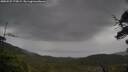 ./images/calvert/fitz-hugh-hecate/20250527/fitz-hugh-hecate20250527_175009M.jpg