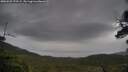 ./images/calvert/fitz-hugh-hecate/20250527/fitz-hugh-hecate20250527_175506M.jpg