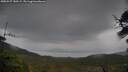 ./images/calvert/fitz-hugh-hecate/20250527/fitz-hugh-hecate20250527_180509M.jpg