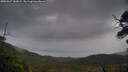 ./images/calvert/fitz-hugh-hecate/20250527/fitz-hugh-hecate20250527_181009M.jpg
