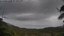 ./images/calvert/fitz-hugh-hecate/20250527/fitz-hugh-hecate20250527_181510M.jpg