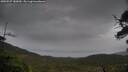 ./images/calvert/fitz-hugh-hecate/20250527/fitz-hugh-hecate20250527_182010M.jpg