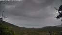 ./images/calvert/fitz-hugh-hecate/20250527/fitz-hugh-hecate20250527_182509M.jpg