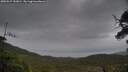 ./images/calvert/fitz-hugh-hecate/20250527/fitz-hugh-hecate20250527_183010M.jpg