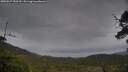 ./images/calvert/fitz-hugh-hecate/20250527/fitz-hugh-hecate20250527_183509M.jpg