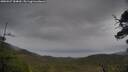 ./images/calvert/fitz-hugh-hecate/20250527/fitz-hugh-hecate20250527_184010M.jpg