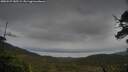 ./images/calvert/fitz-hugh-hecate/20250527/fitz-hugh-hecate20250527_185509M.jpg