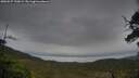 ./images/calvert/fitz-hugh-hecate/20250527/fitz-hugh-hecate20250527_190009M.jpg