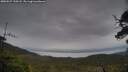 ./images/calvert/fitz-hugh-hecate/20250527/fitz-hugh-hecate20250527_190508M.jpg