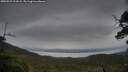 ./images/calvert/fitz-hugh-hecate/20250527/fitz-hugh-hecate20250527_191009M.jpg