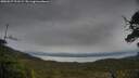 ./images/calvert/fitz-hugh-hecate/20250527/fitz-hugh-hecate20250527_191509M.jpg