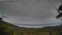 ./images/calvert/fitz-hugh-hecate/20250527/fitz-hugh-hecate20250527_192507M.jpg