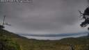 ./images/calvert/fitz-hugh-hecate/20250527/fitz-hugh-hecate20250527_193008M.jpg