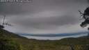 ./images/calvert/fitz-hugh-hecate/20250527/fitz-hugh-hecate20250527_193508M.jpg