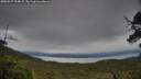 ./images/calvert/fitz-hugh-hecate/20250527/fitz-hugh-hecate20250527_194009M.jpg