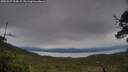 ./images/calvert/fitz-hugh-hecate/20250527/fitz-hugh-hecate20250527_194506M.jpg
