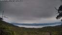 ./images/calvert/fitz-hugh-hecate/20250527/fitz-hugh-hecate20250527_195009M.jpg