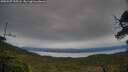 ./images/calvert/fitz-hugh-hecate/20250527/fitz-hugh-hecate20250527_195507M.jpg