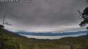 ./images/calvert/fitz-hugh-hecate/20250527/fitz-hugh-hecate20250527_203009M.jpg