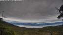 ./images/calvert/fitz-hugh-hecate/20250527/fitz-hugh-hecate20250527_205007M.jpg