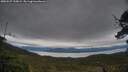 ./images/calvert/fitz-hugh-hecate/20250527/fitz-hugh-hecate20250527_210009M.jpg