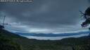 ./images/calvert/fitz-hugh-hecate/20250527/fitz-hugh-hecate20250527_213508M.jpg