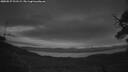 ./images/calvert/fitz-hugh-hecate/20250527/fitz-hugh-hecate20250527_221508M.jpg