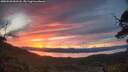 ./images/calvert/fitz-hugh-hecate/20250528/fitz-hugh-hecate20250528_051508M.jpg
