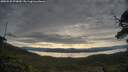 ./images/calvert/fitz-hugh-hecate/20250528/fitz-hugh-hecate20250528_070010M.jpg