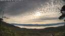 ./images/calvert/fitz-hugh-hecate/20250528/fitz-hugh-hecate20250528_074510M.jpg