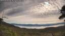 ./images/calvert/fitz-hugh-hecate/20250528/fitz-hugh-hecate20250528_091510M.jpg