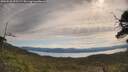 ./images/calvert/fitz-hugh-hecate/20250528/fitz-hugh-hecate20250528_095509M.jpg