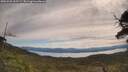 ./images/calvert/fitz-hugh-hecate/20250528/fitz-hugh-hecate20250528_102509M.jpg