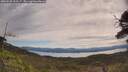 ./images/calvert/fitz-hugh-hecate/20250528/fitz-hugh-hecate20250528_103507M.jpg