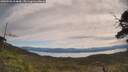 ./images/calvert/fitz-hugh-hecate/20250528/fitz-hugh-hecate20250528_104010M.jpg