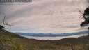 ./images/calvert/fitz-hugh-hecate/20250528/fitz-hugh-hecate20250528_104510M.jpg