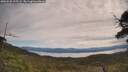 ./images/calvert/fitz-hugh-hecate/20250528/fitz-hugh-hecate20250528_105508M.jpg