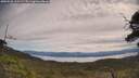 ./images/calvert/fitz-hugh-hecate/20250528/fitz-hugh-hecate20250528_110509M.jpg