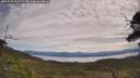 ./images/calvert/fitz-hugh-hecate/20250528/fitz-hugh-hecate20250528_111509M.jpg
