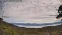 ./images/calvert/fitz-hugh-hecate/20250528/fitz-hugh-hecate20250528_112009M.jpg